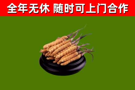 大宁县烟酒回收冬虫夏草.jpg